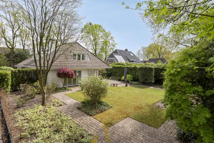 Foto 2 van Zilvermos 2