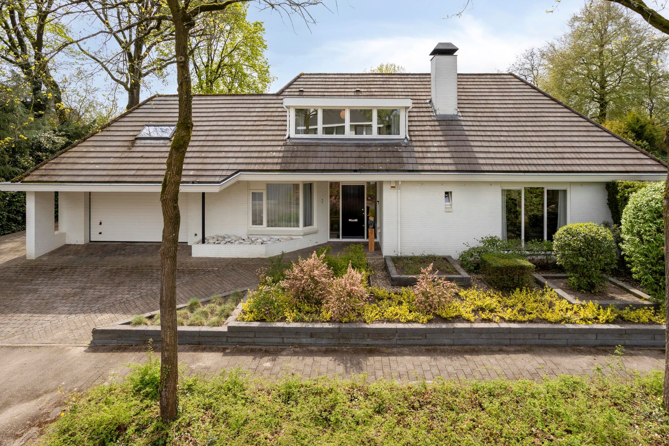 Foto 6 van Zilvermos 2