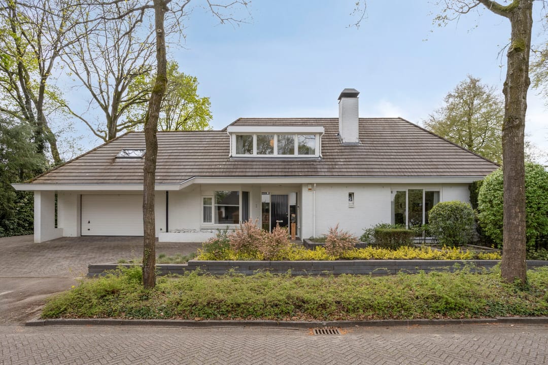 Foto 7 van Zilvermos 2