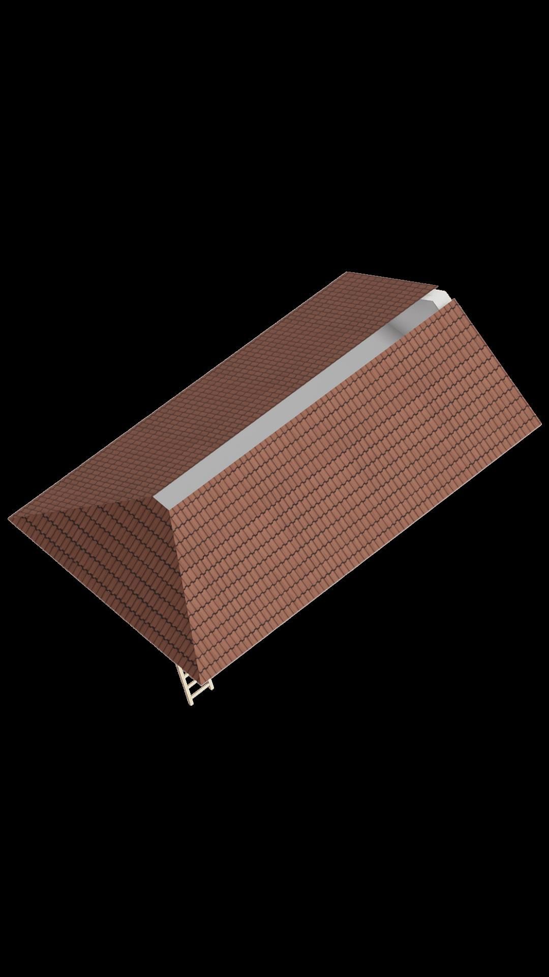 Foto 85 van Zilvermos 2