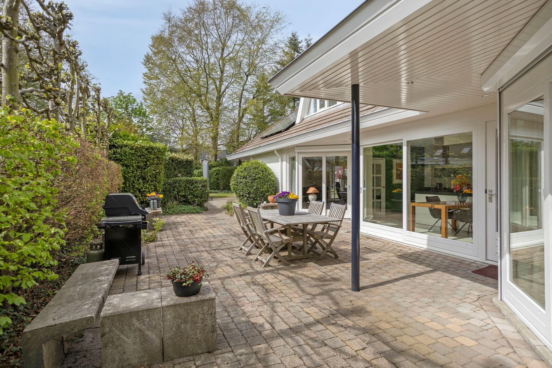 Foto 3 van Zilvermos 2