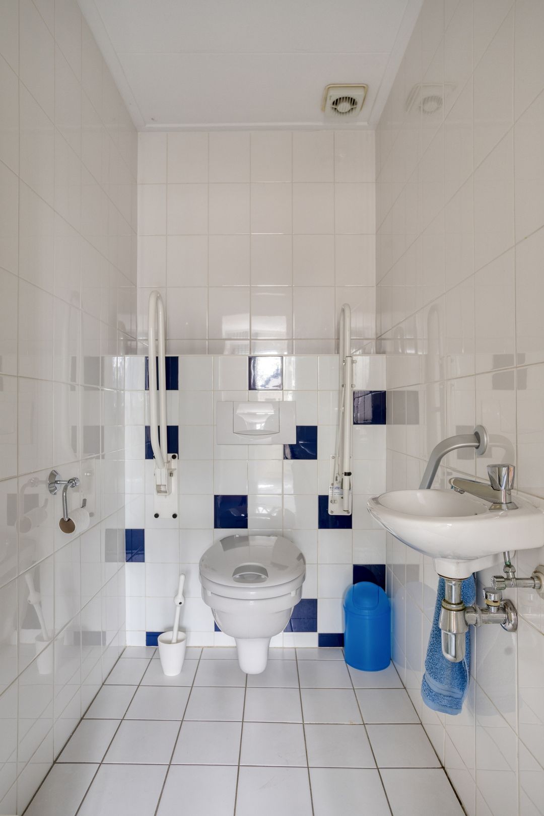 Foto 62 van Zilvermos 2