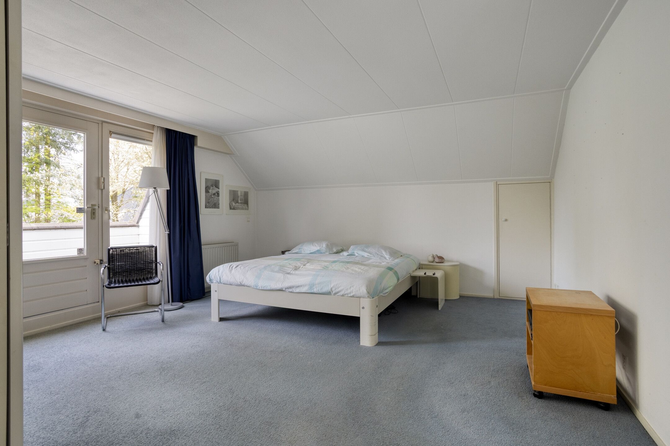 Foto 42 van Zilvermos 2