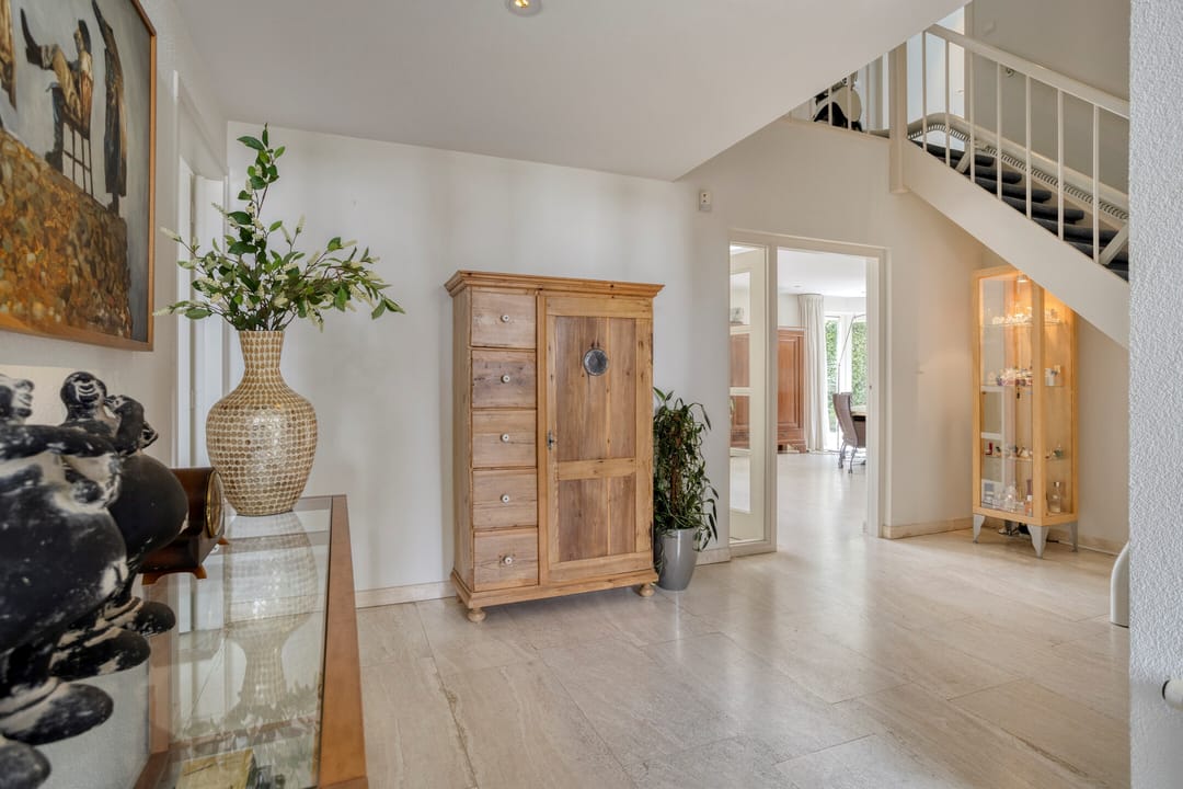 Foto 8 van Zilvermos 2