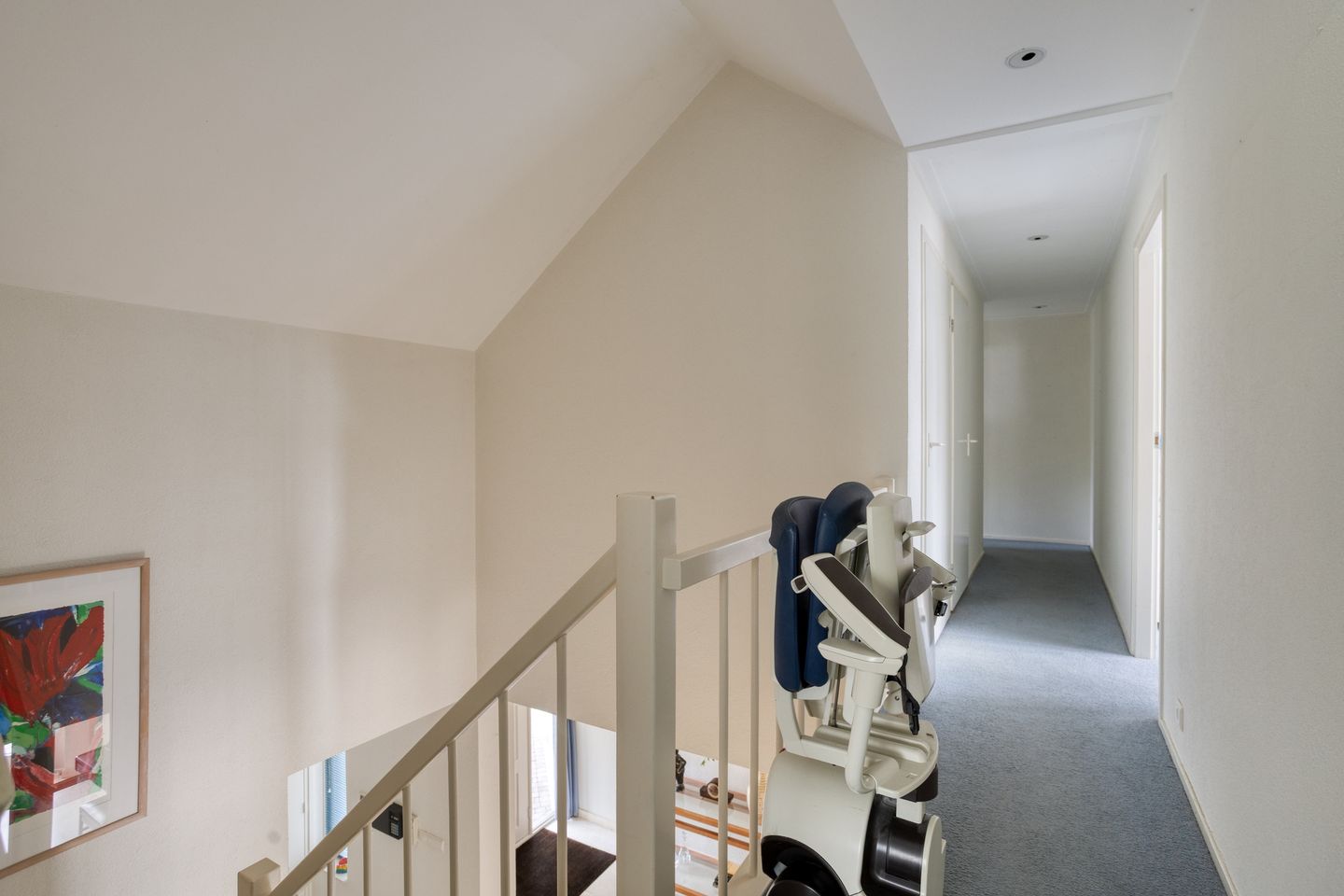 Foto 40 van Zilvermos 2