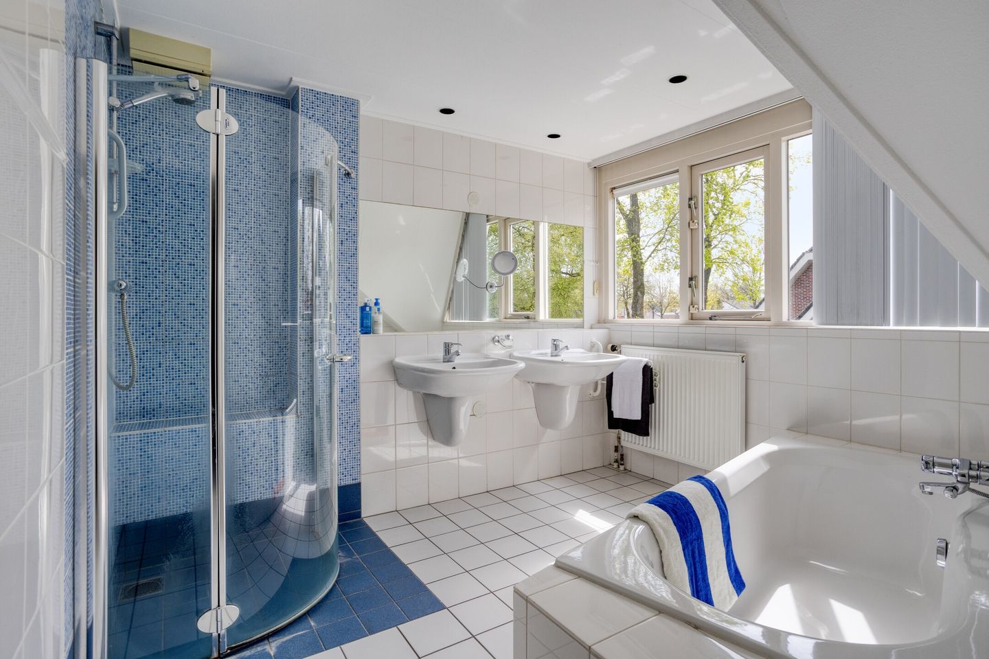 Foto 44 van Zilvermos 2