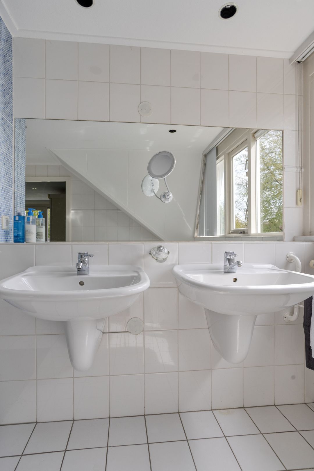 Foto 46 van Zilvermos 2