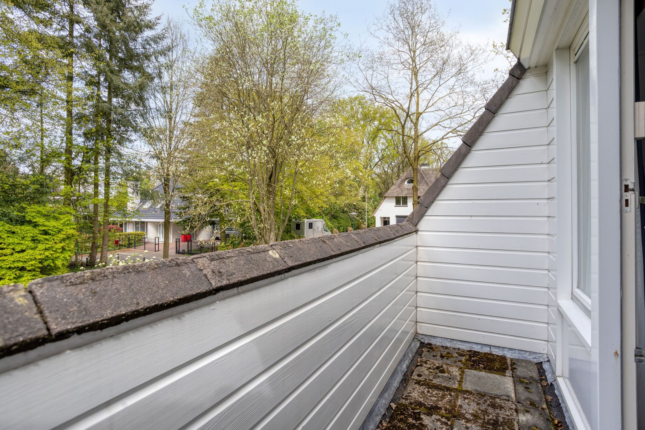 Foto 48 van Zilvermos 2