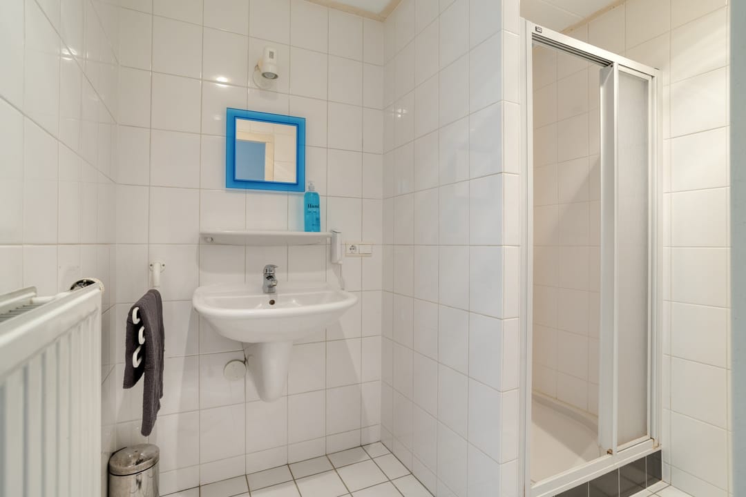 Foto 52 van Zilvermos 2