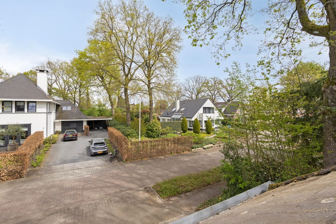 Foto 58 van Zilvermos 2