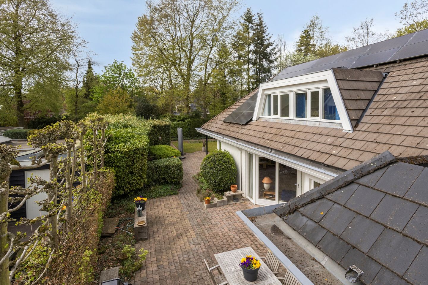 Foto 64 van Zilvermos 2