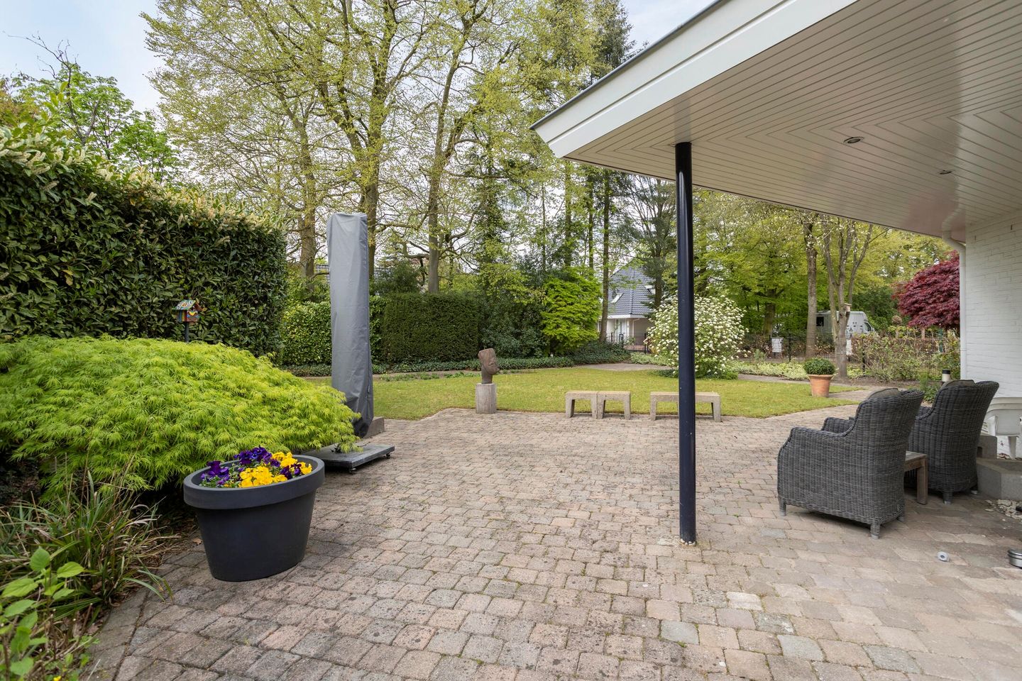 Foto 65 van Zilvermos 2