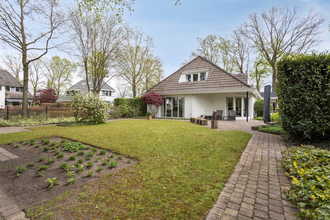 Foto 68 van Zilvermos 2