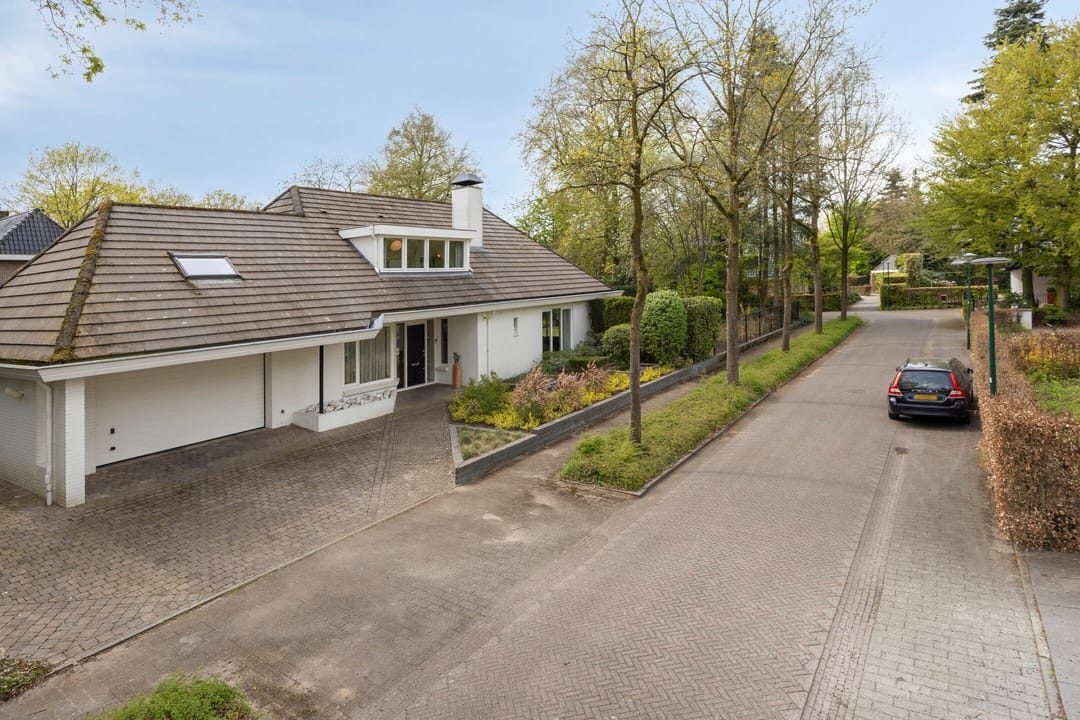 Foto 73 van Zilvermos 2