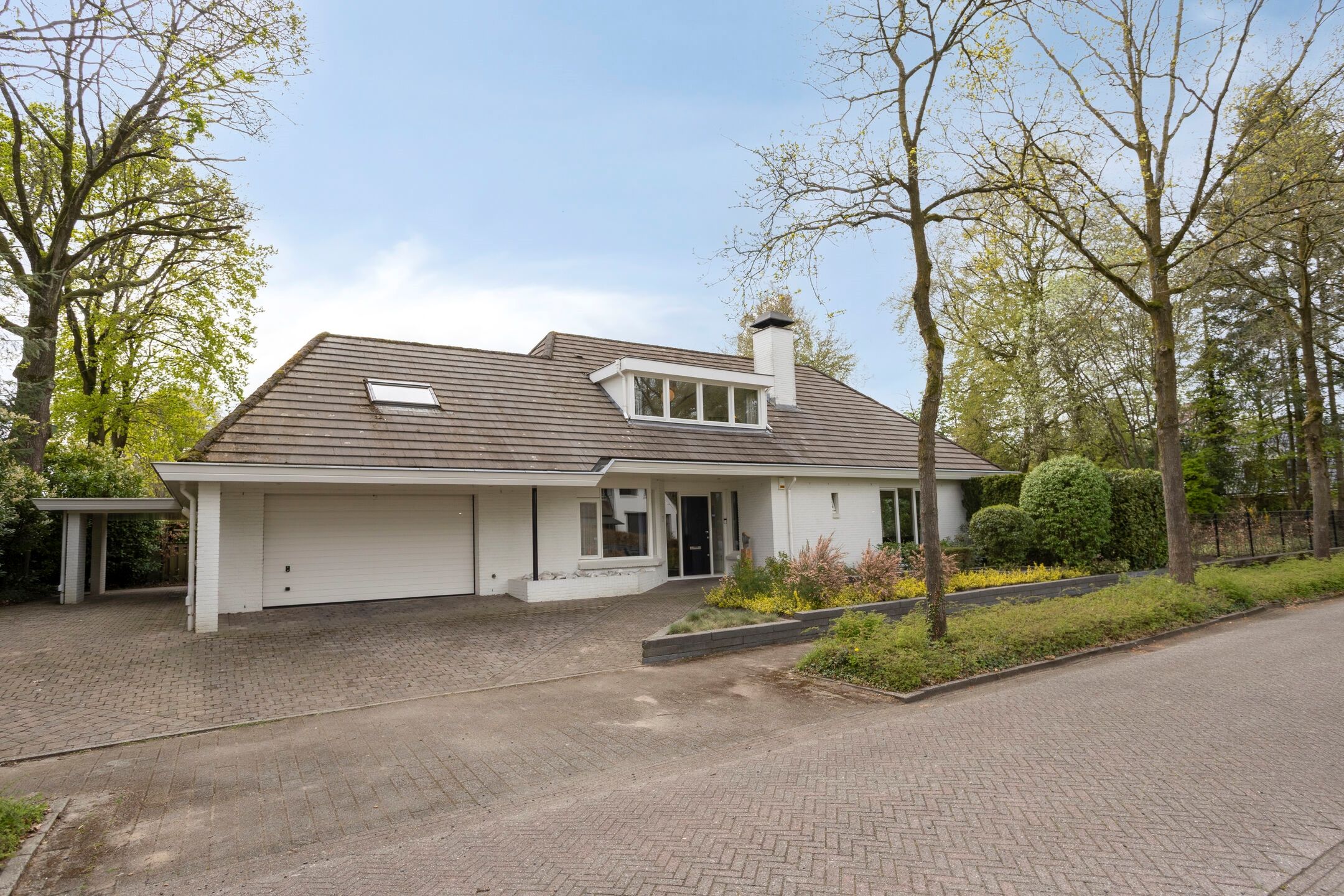 Foto 75 van Zilvermos 2