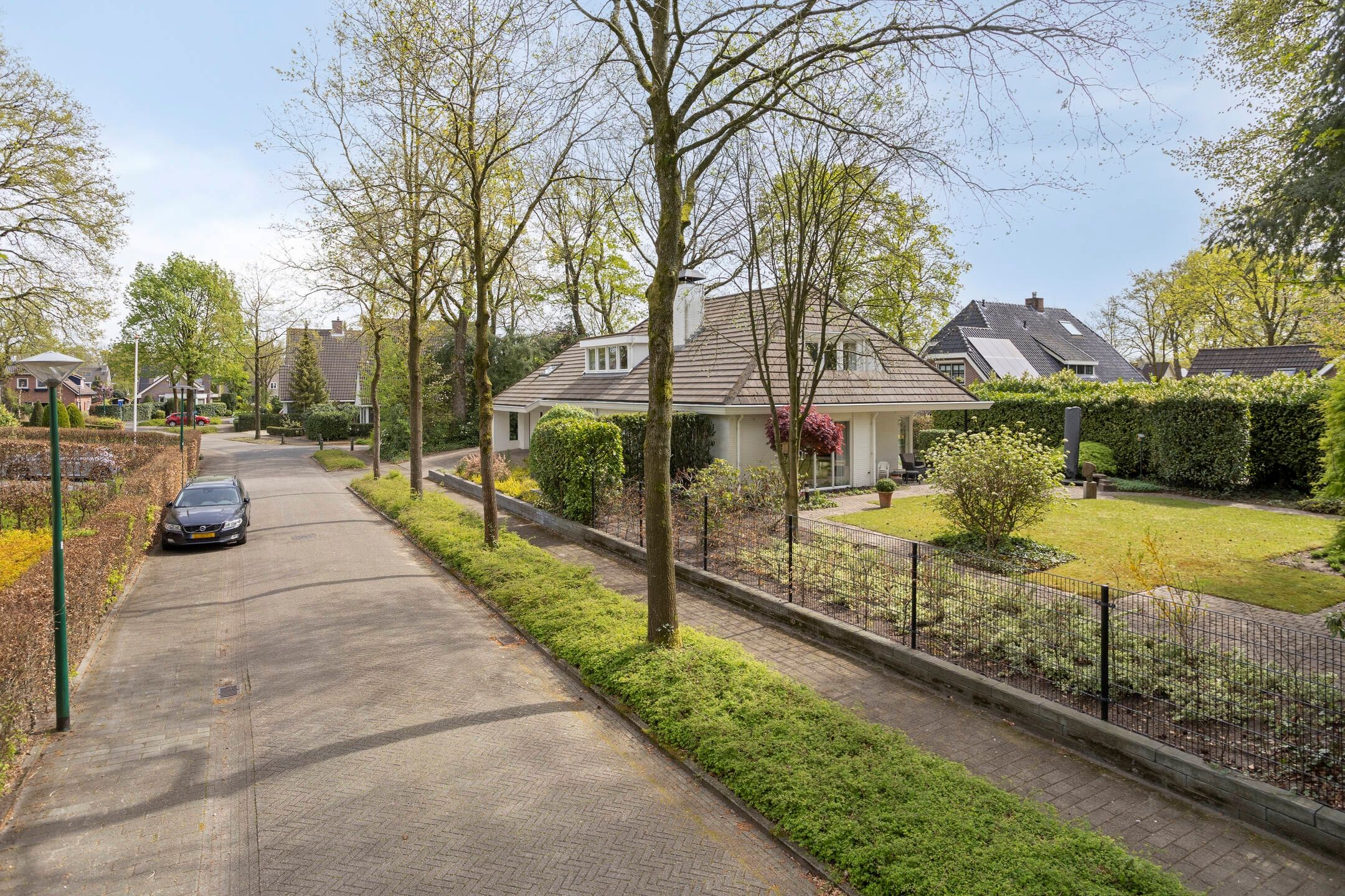 Foto 78 van Zilvermos 2