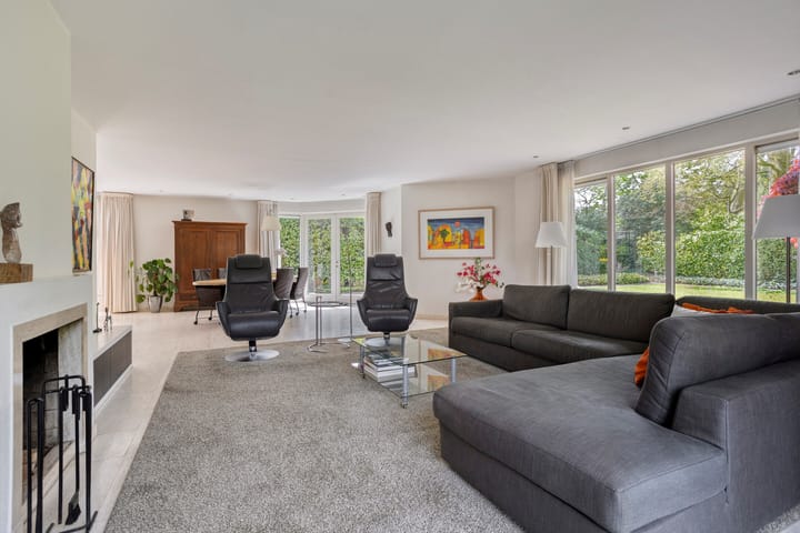 Foto 4 van Zilvermos 2