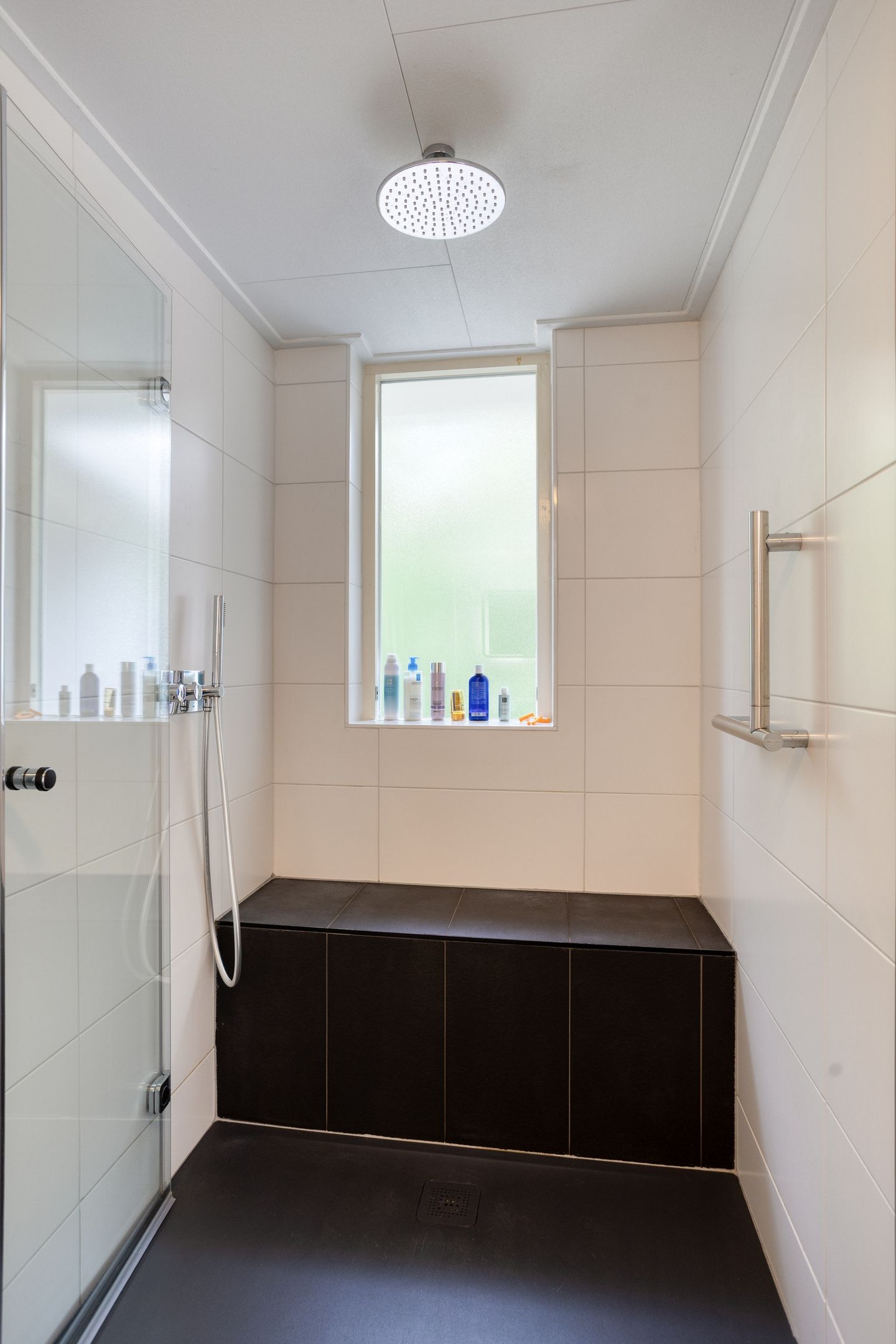 Foto 33 van Zilvermos 2