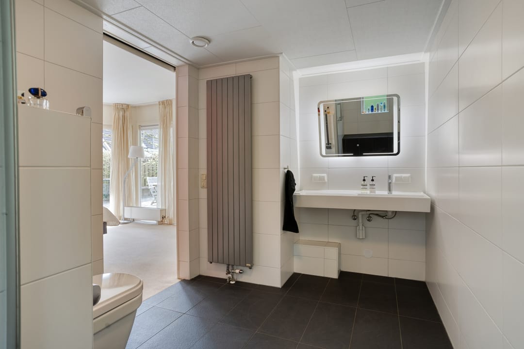 Foto 31 van Zilvermos 2