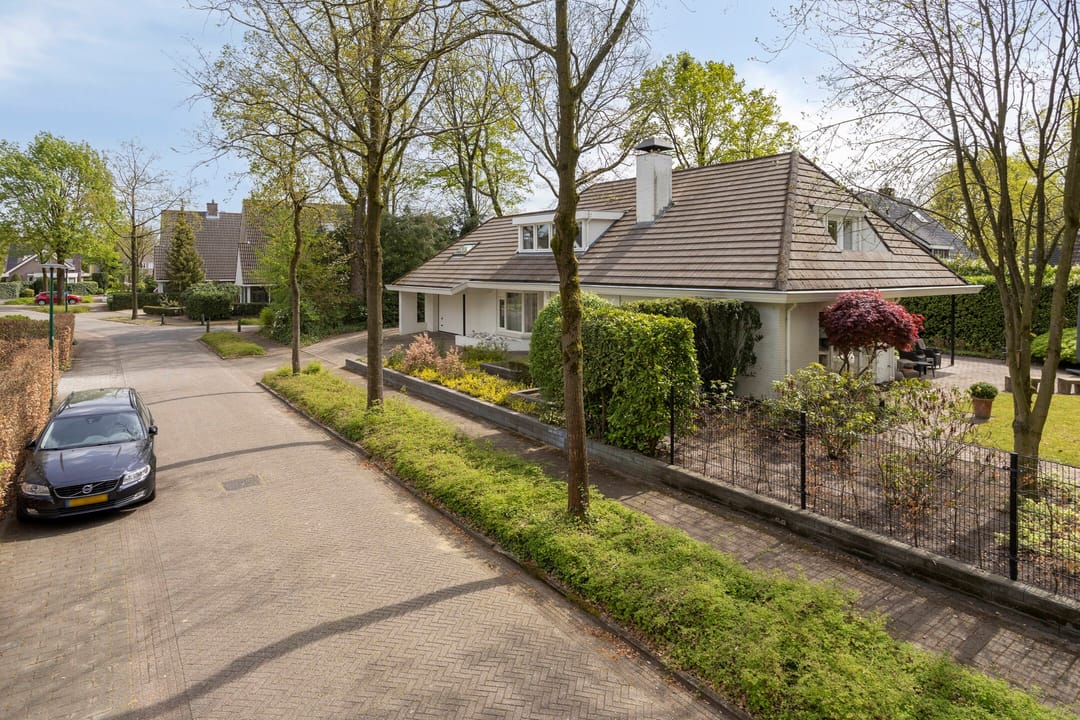 Foto 77 van Zilvermos 2