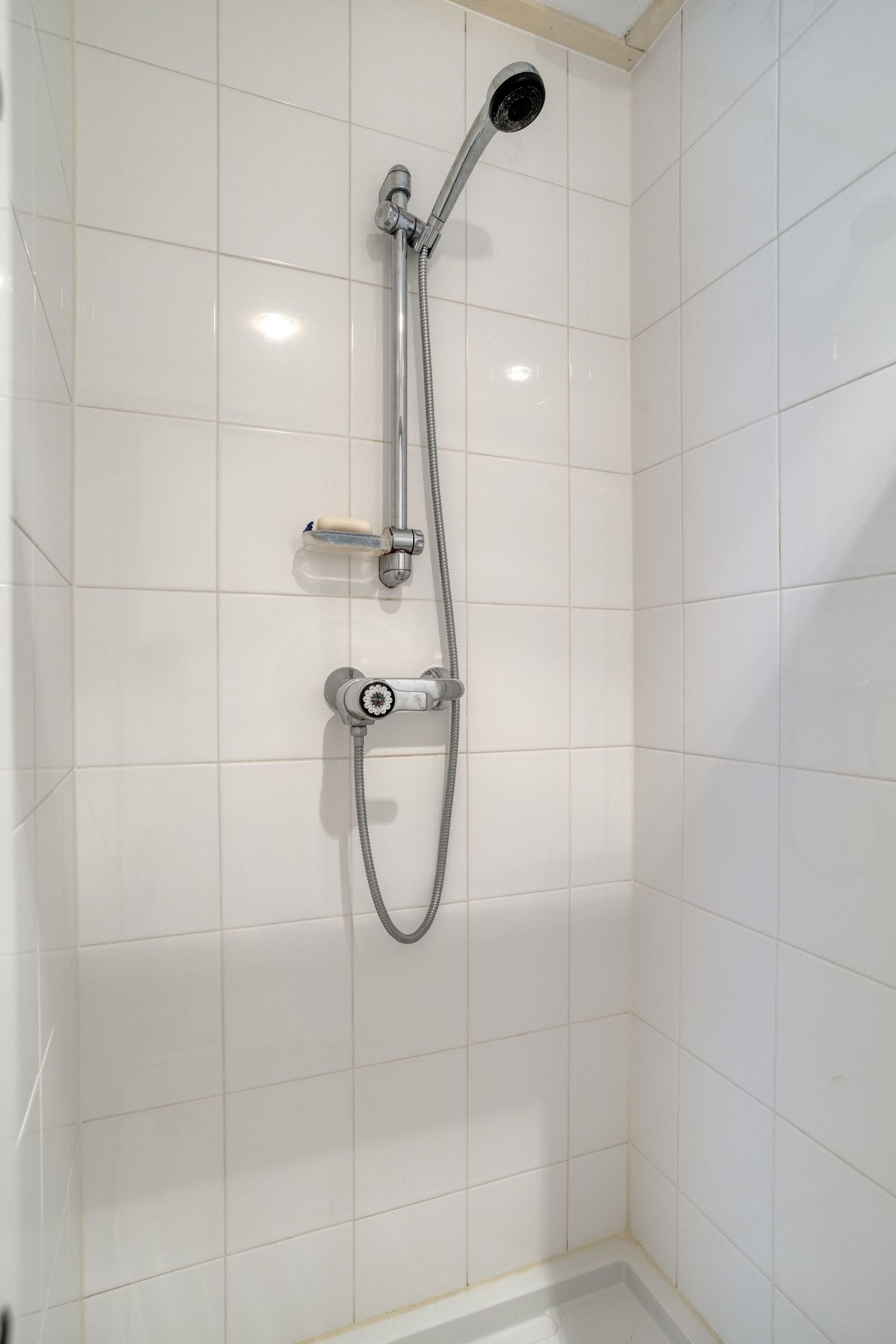 Foto 54 van Zilvermos 2