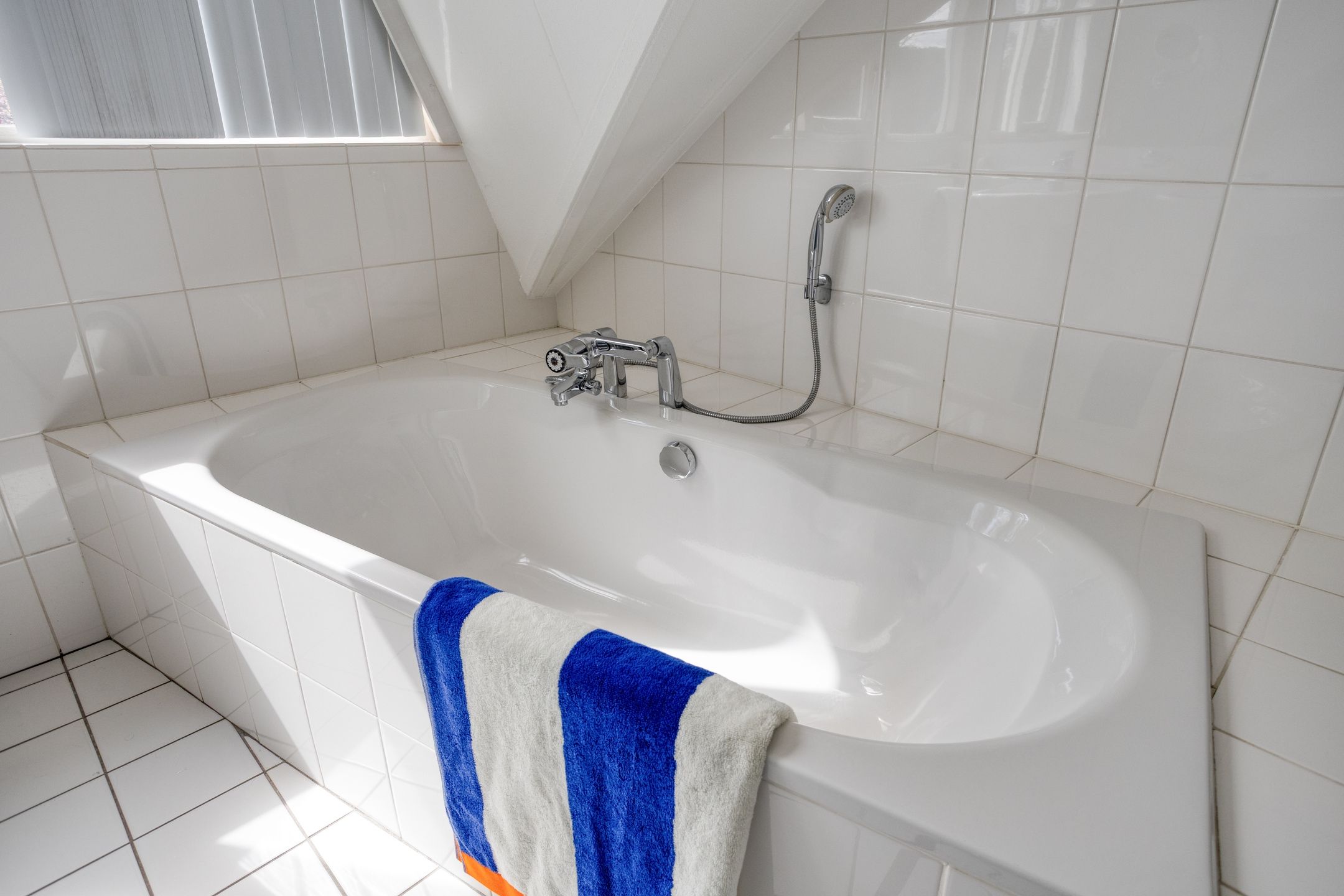 Foto 45 van Zilvermos 2