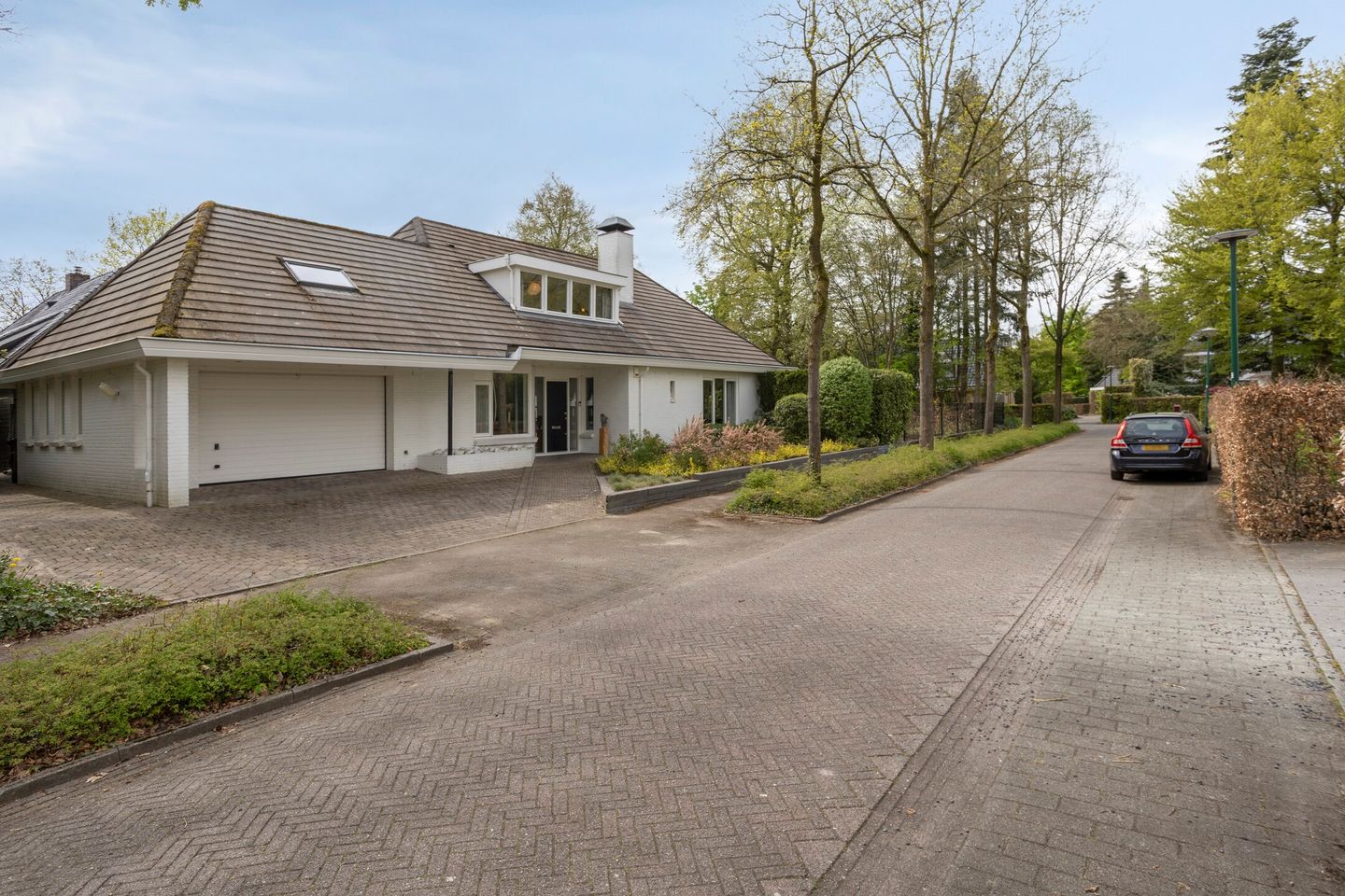 Foto 74 van Zilvermos 2