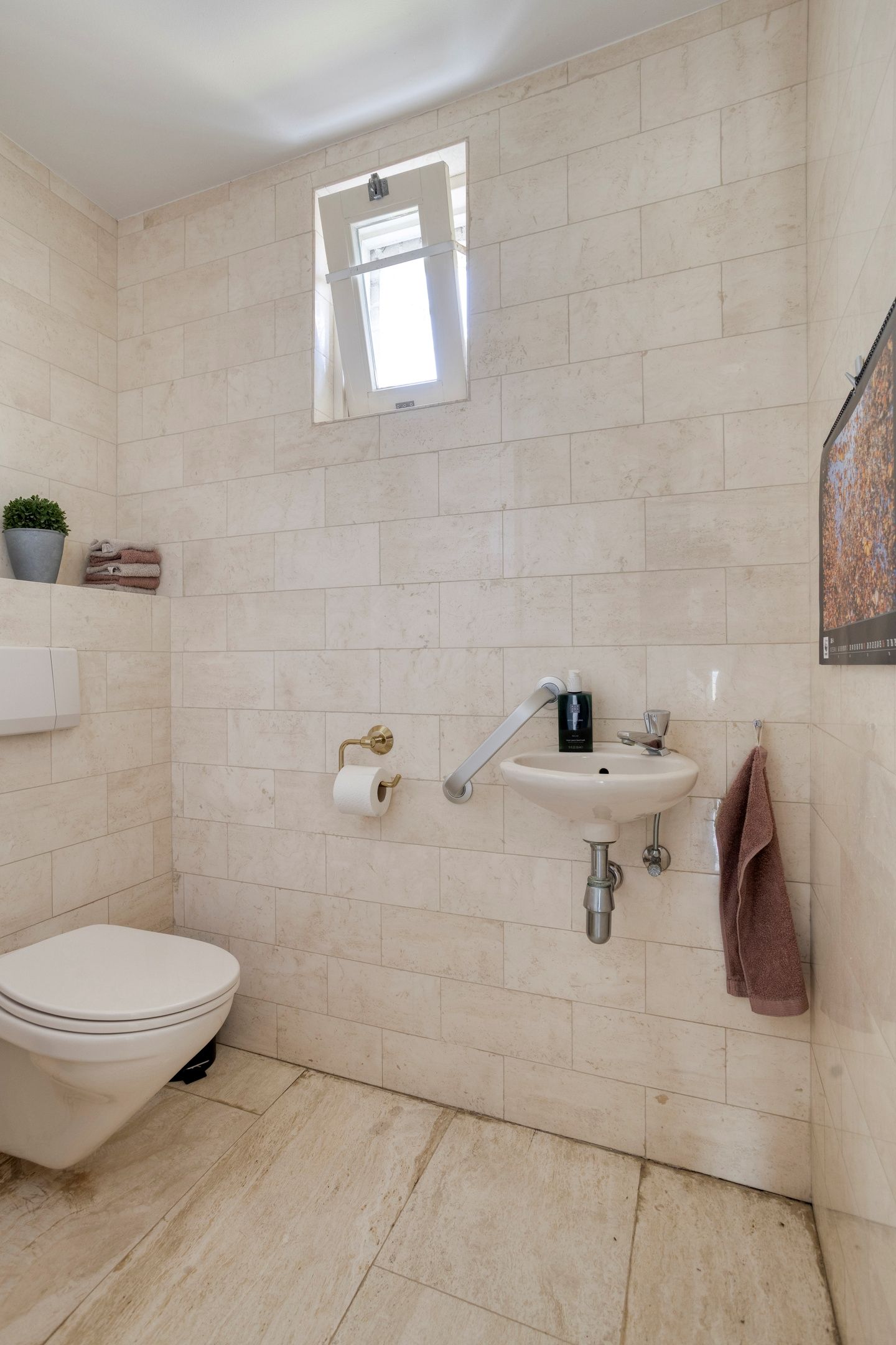 Foto 35 van Zilvermos 2