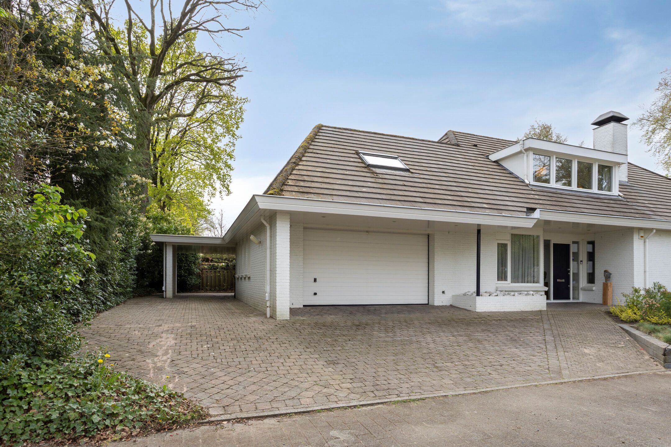 Foto 72 van Zilvermos 2