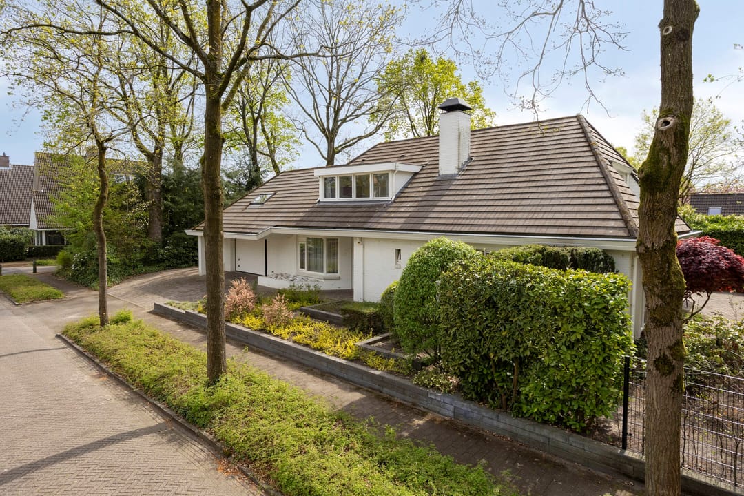 Foto 76 van Zilvermos 2