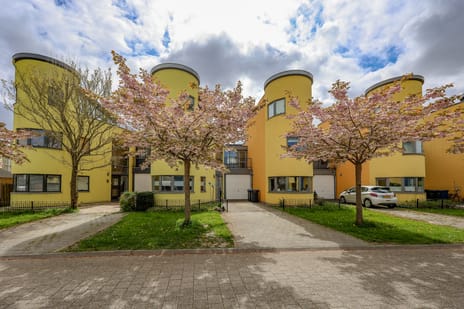 Chamoisstraat thumbnail