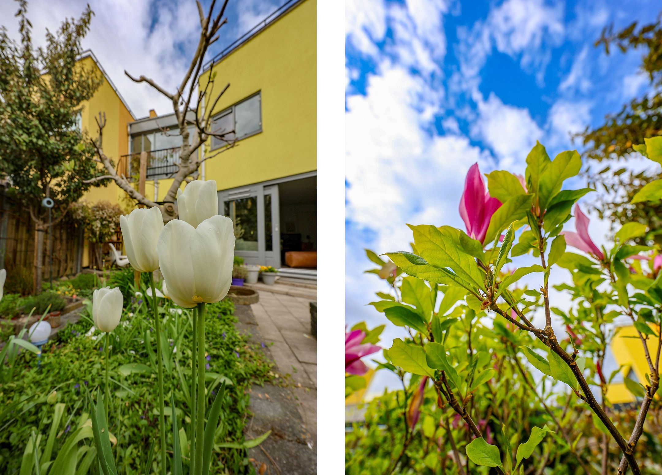 Foto 51 van Chamoisstraat 30