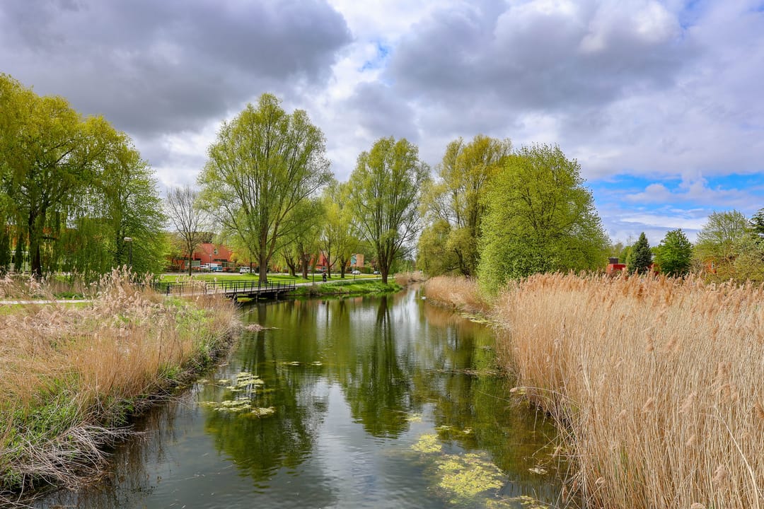 Foto 58 van Chamoisstraat 30