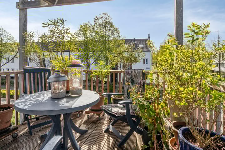 Photo 3 of Zocalo 24