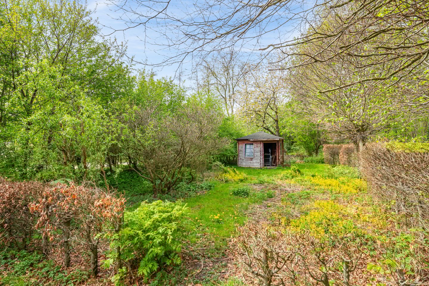 Foto 34 van Zuiderdiep 5