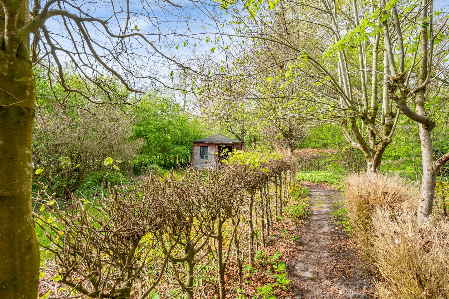 Foto 35 van Zuiderdiep 5