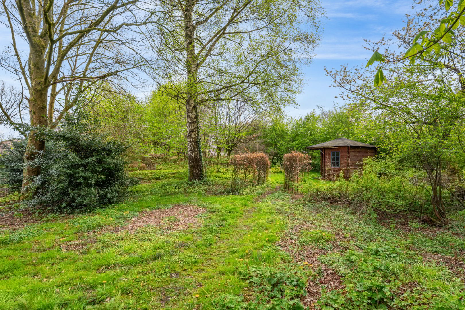 Foto 36 van Zuiderdiep 5