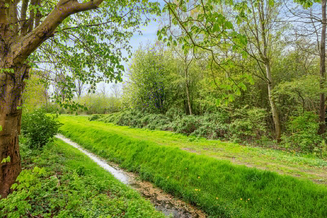 Foto 37 van Zuiderdiep 5