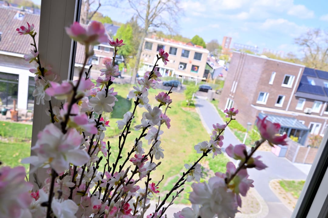 Foto 32 van Sint Geertruidenhof 52