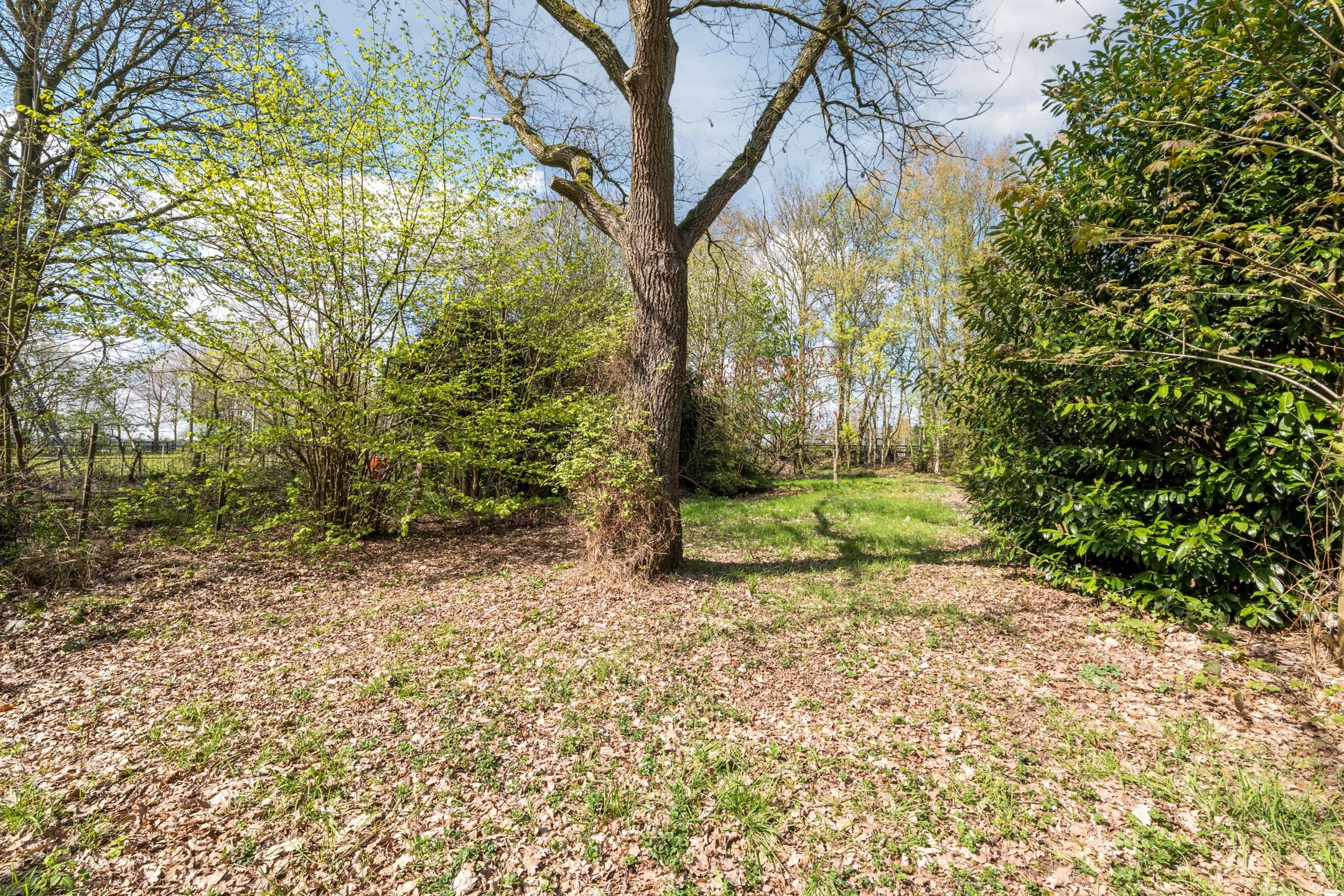 Characterful semi-detached home on generous 1,045 m² plot in rural Stadskanaal — 36