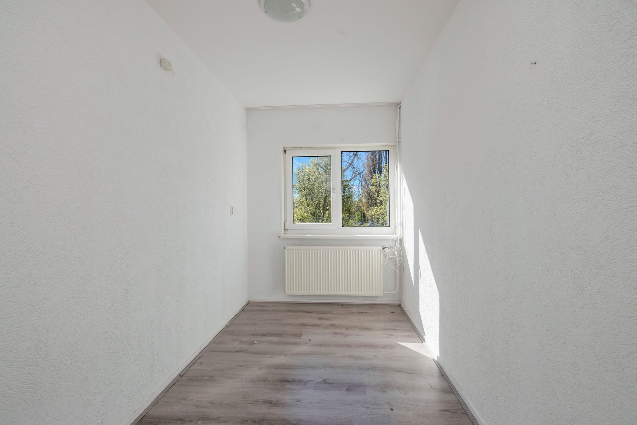 Foto 18 van Linnaeusstraat 212