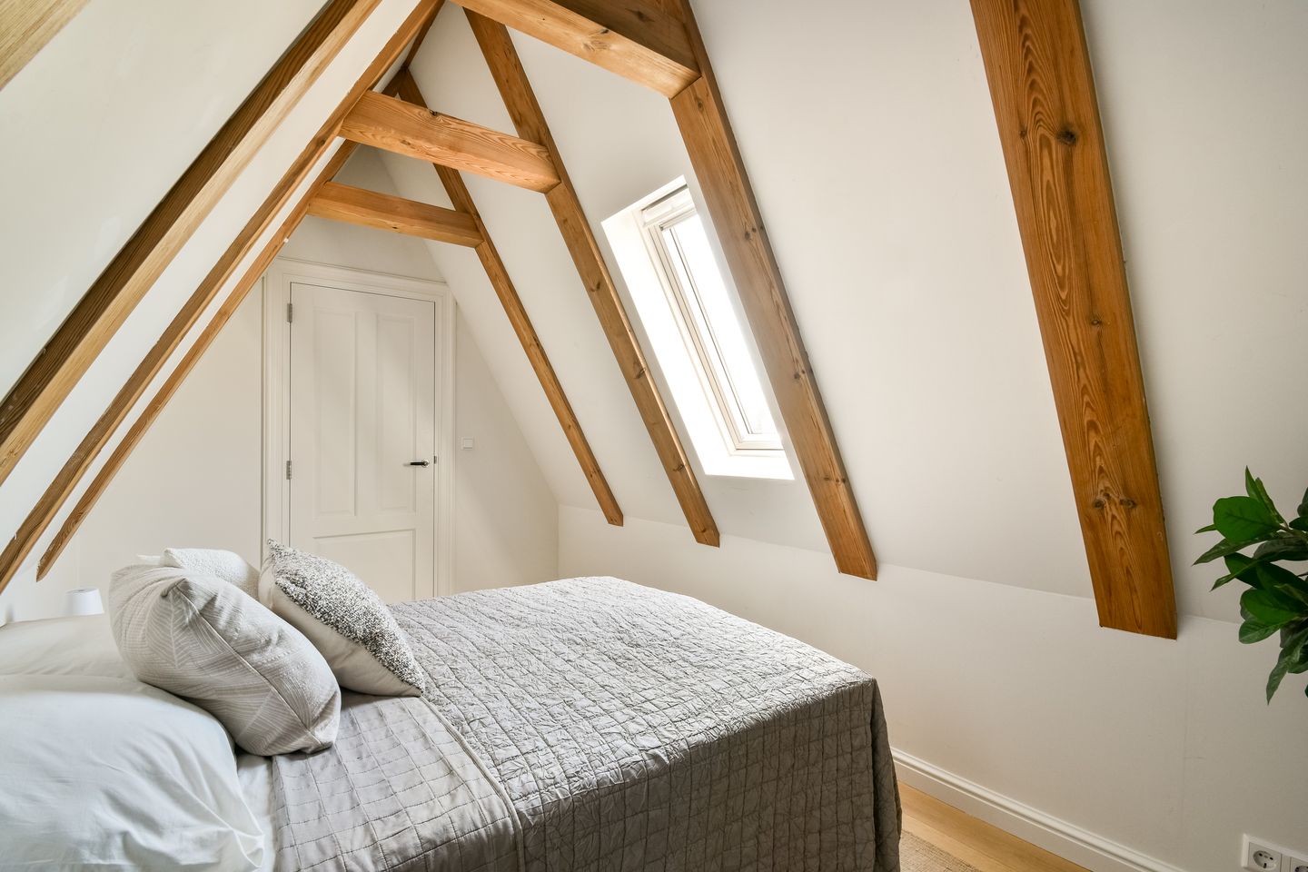 Foto 25 van Rapenburg 95-3