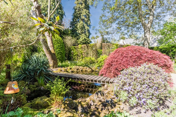 Foto 4 van Speelhei 1