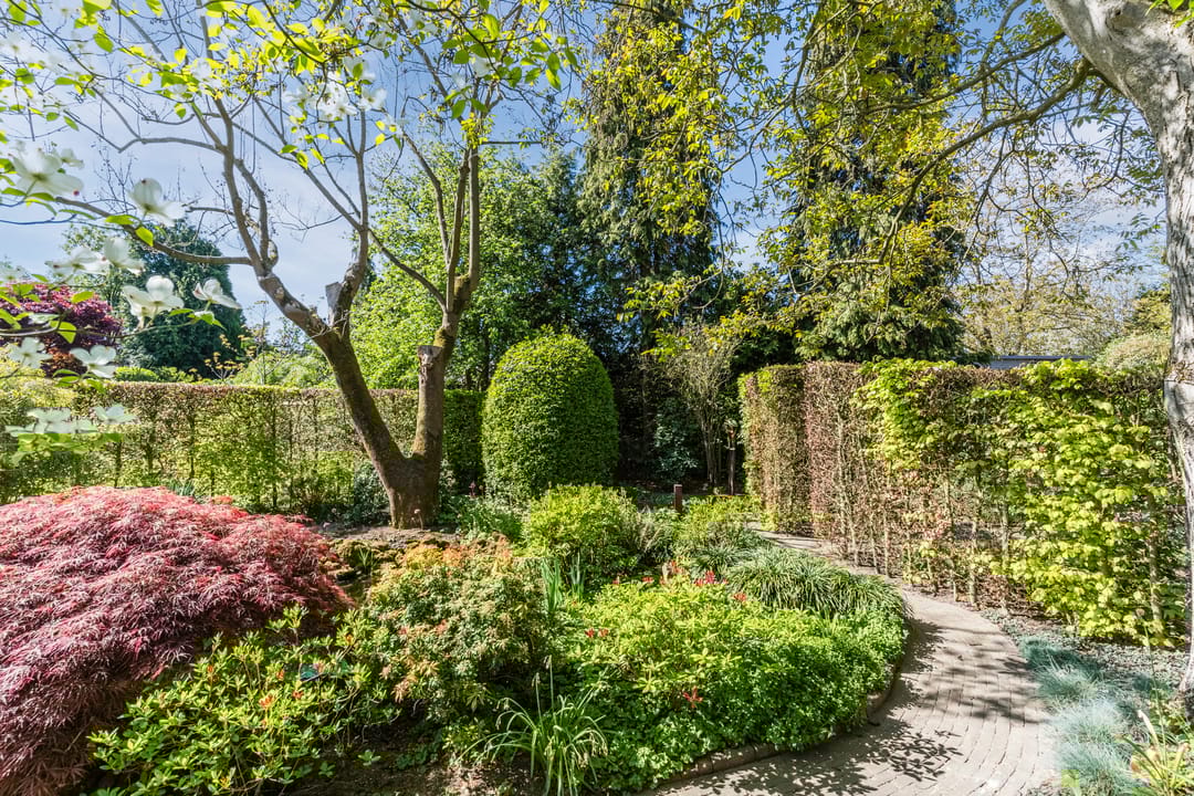 Foto 32 van Speelhei 1