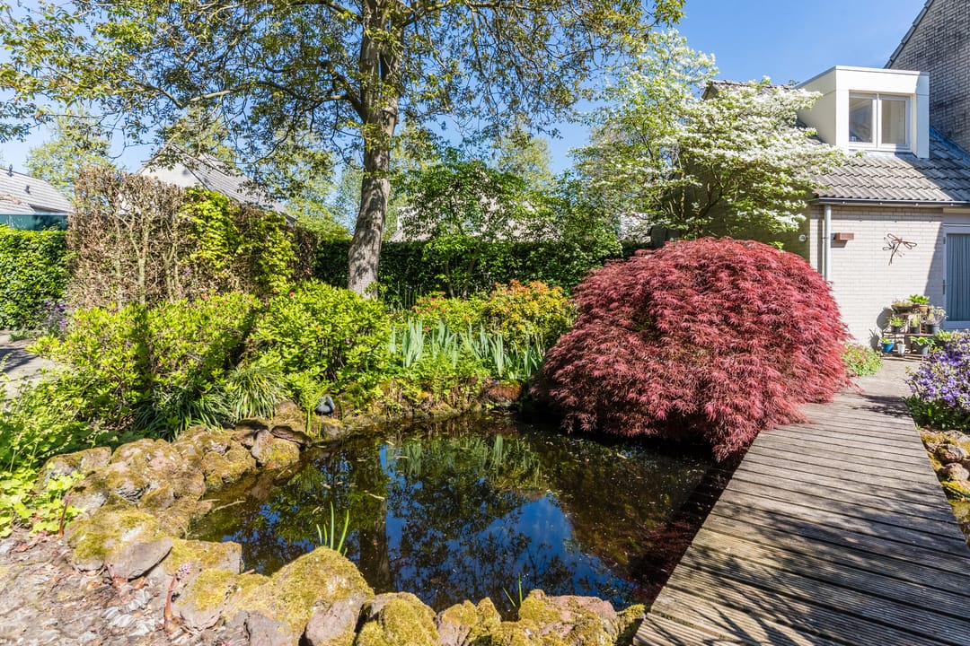 Foto 31 van Speelhei 1