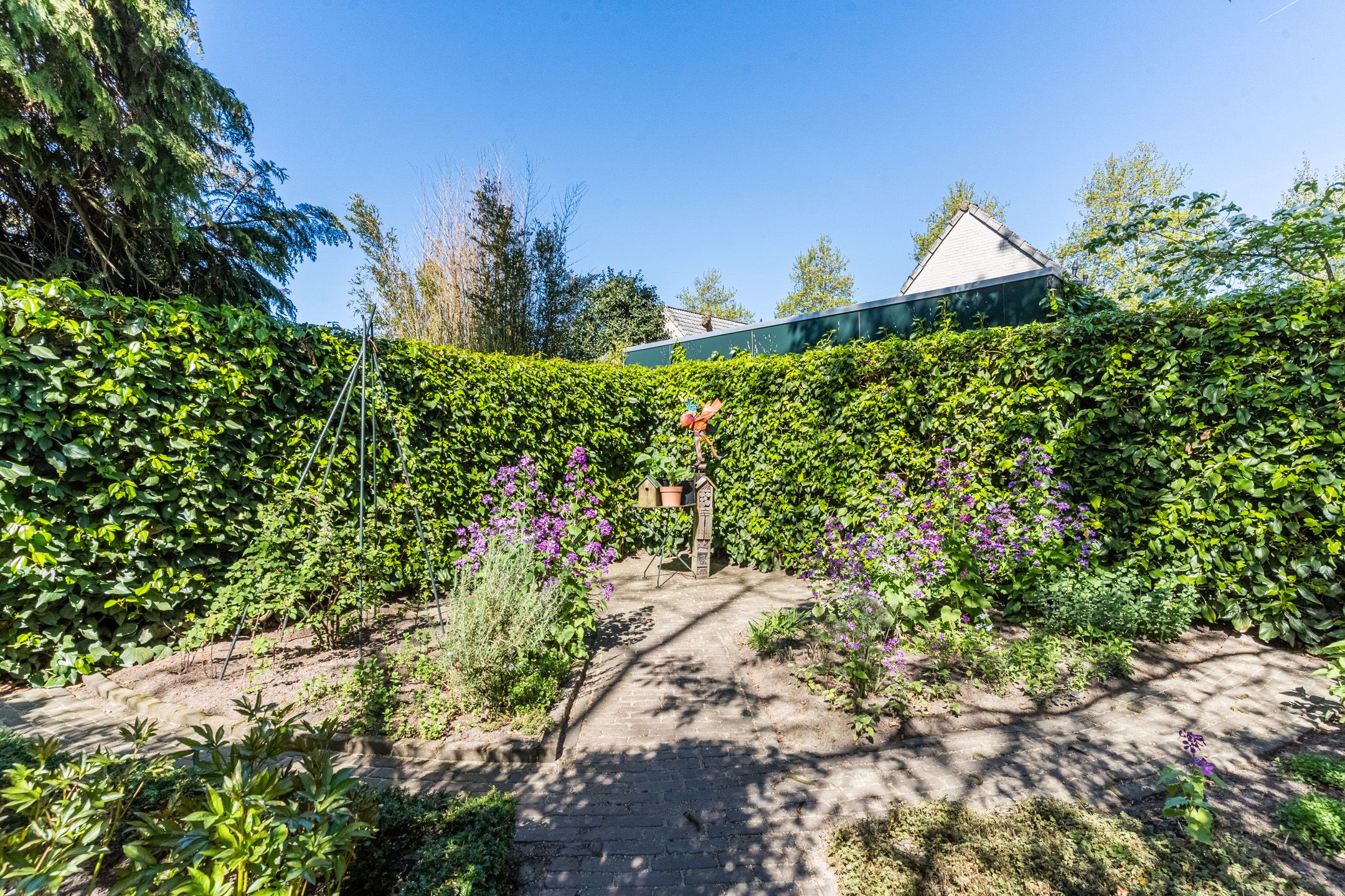 Foto 33 van Speelhei 1