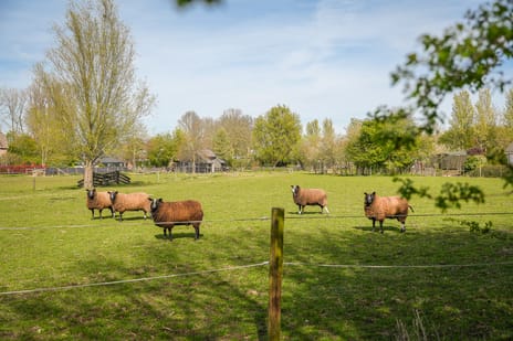 Nieuwe Steeg 4 tertiary image