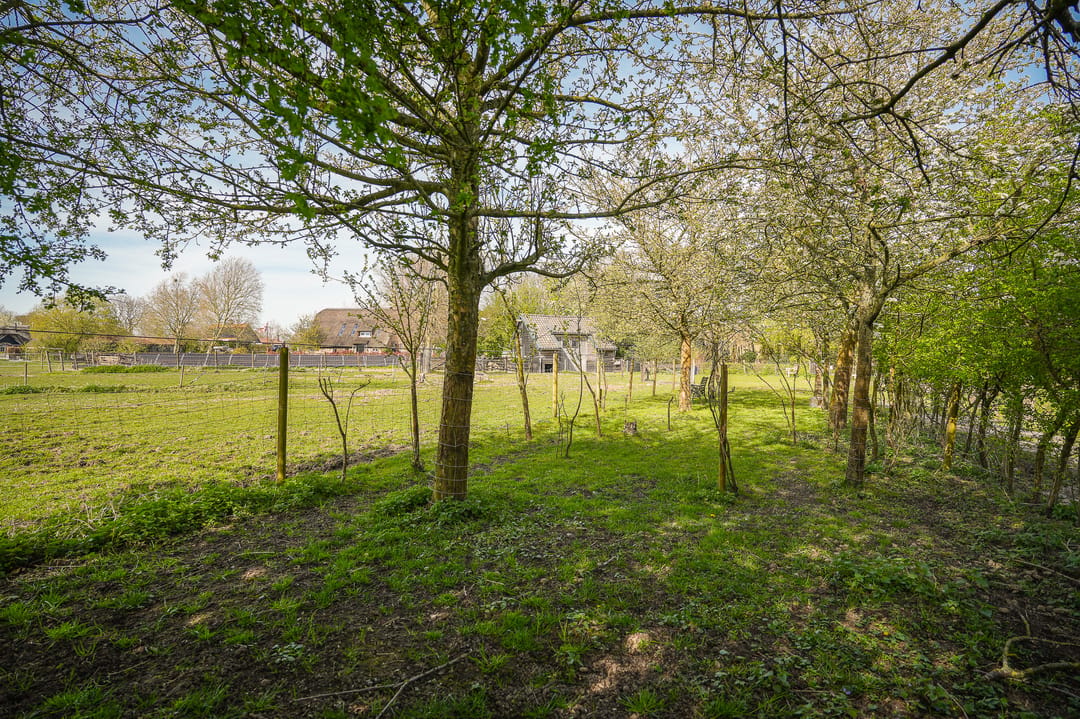 Photo 37 of Nieuwe Steeg 4