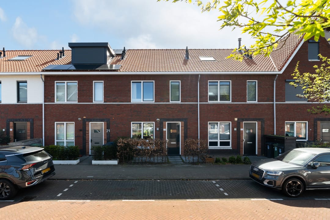 Foto 1 van Citroenvlinder 23