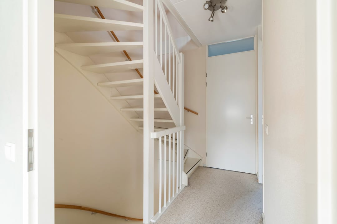 Foto 22 van Citroenvlinder 23